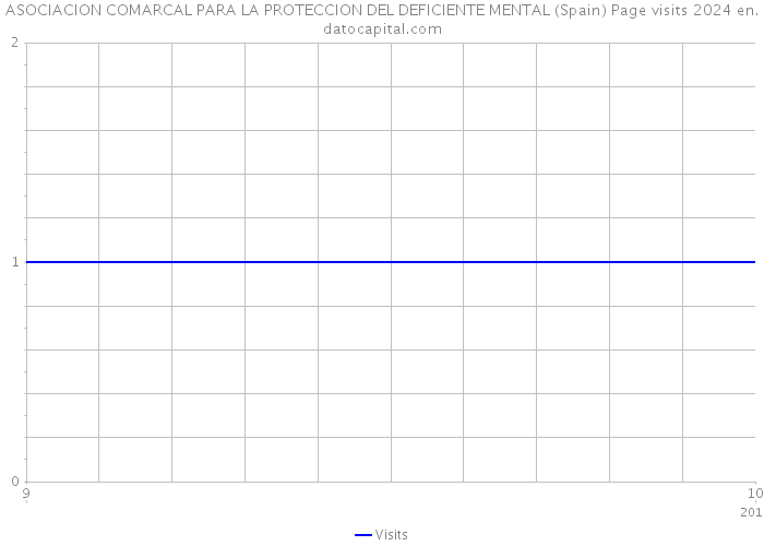 ASOCIACION COMARCAL PARA LA PROTECCION DEL DEFICIENTE MENTAL (Spain) Page visits 2024 