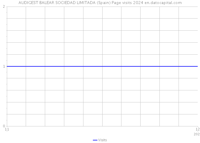 AUDIGEST BALEAR SOCIEDAD LIMITADA (Spain) Page visits 2024 