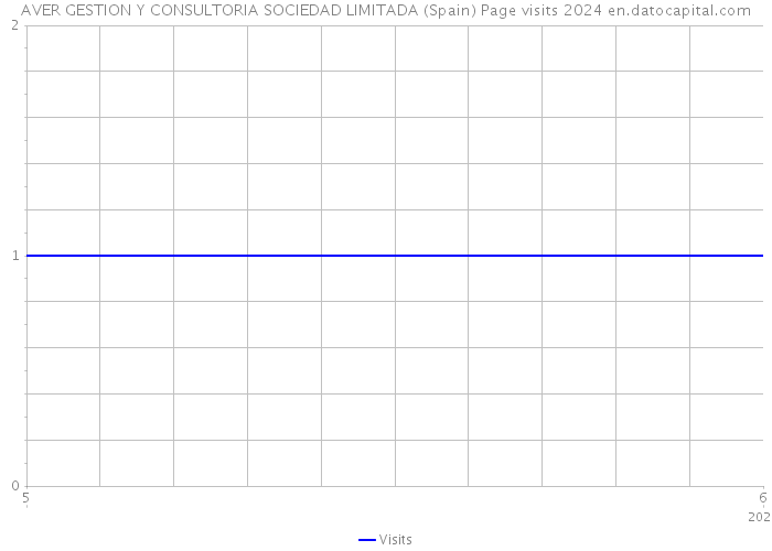 AVER GESTION Y CONSULTORIA SOCIEDAD LIMITADA (Spain) Page visits 2024 