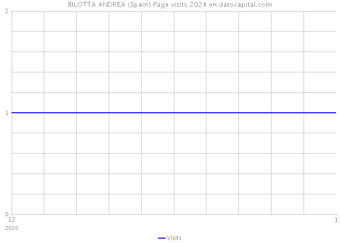 BILOTTA ANDREA (Spain) Page visits 2024 