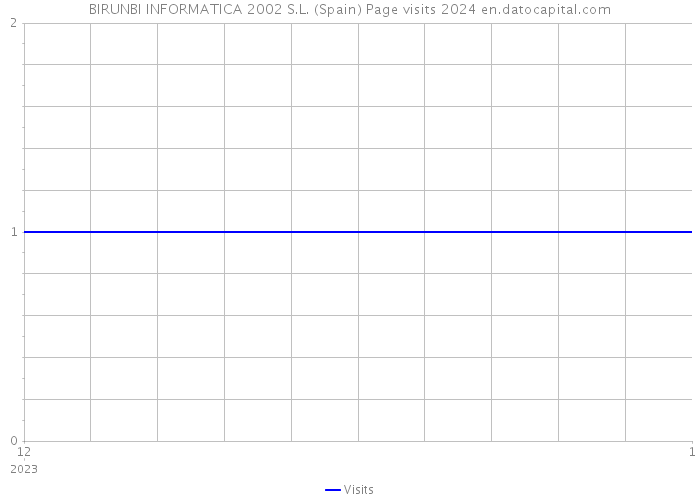 BIRUNBI INFORMATICA 2002 S.L. (Spain) Page visits 2024 