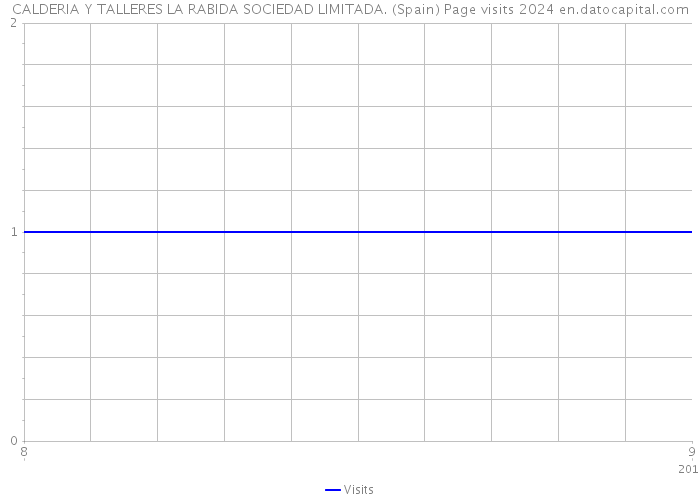 CALDERIA Y TALLERES LA RABIDA SOCIEDAD LIMITADA. (Spain) Page visits 2024 