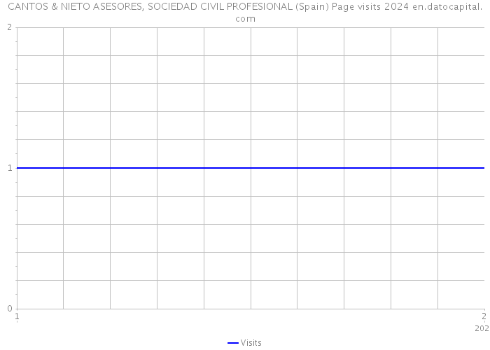 CANTOS & NIETO ASESORES, SOCIEDAD CIVIL PROFESIONAL (Spain) Page visits 2024 