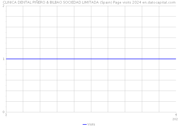 CLINICA DENTAL PIÑERO & BILBAO SOCIEDAD LIMITADA (Spain) Page visits 2024 