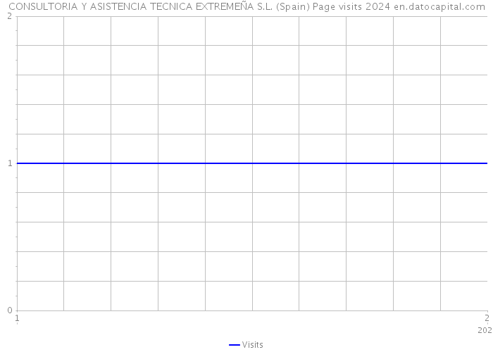 CONSULTORIA Y ASISTENCIA TECNICA EXTREMEÑA S.L. (Spain) Page visits 2024 