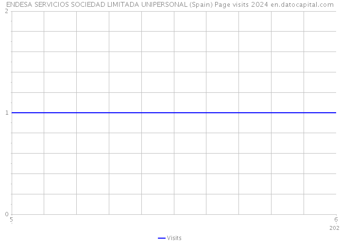 ENDESA SERVICIOS SOCIEDAD LIMITADA UNIPERSONAL (Spain) Page visits 2024 