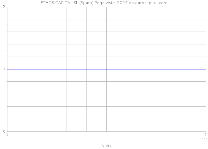ETHOS CAPITAL SL (Spain) Page visits 2024 