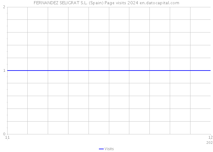 FERNANDEZ SELIGRAT S.L. (Spain) Page visits 2024 