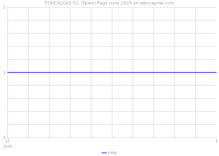 FONCALGAS S.L. (Spain) Page visits 2024 
