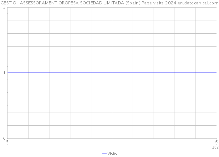 GESTIO I ASSESSORAMENT OROPESA SOCIEDAD LIMITADA (Spain) Page visits 2024 