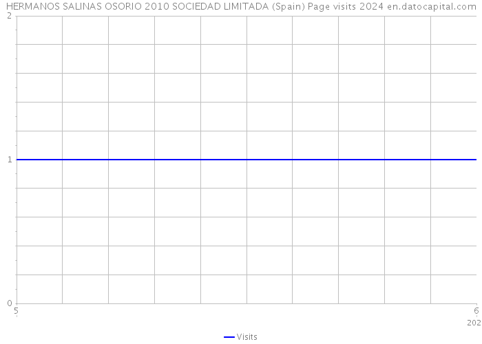HERMANOS SALINAS OSORIO 2010 SOCIEDAD LIMITADA (Spain) Page visits 2024 
