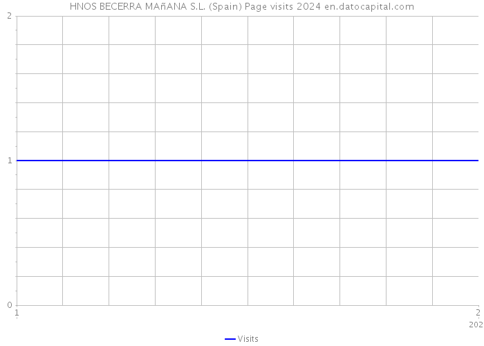 HNOS BECERRA MAñANA S.L. (Spain) Page visits 2024 