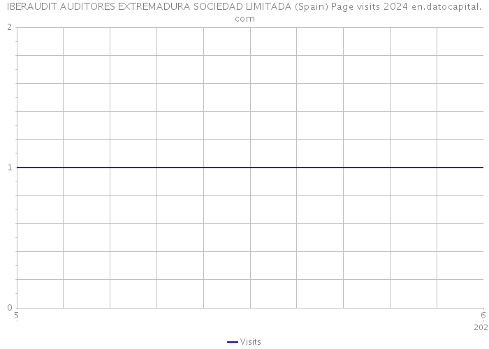 IBERAUDIT AUDITORES EXTREMADURA SOCIEDAD LIMITADA (Spain) Page visits 2024 