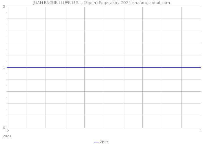 JUAN BAGUR LLUFRIU S.L. (Spain) Page visits 2024 