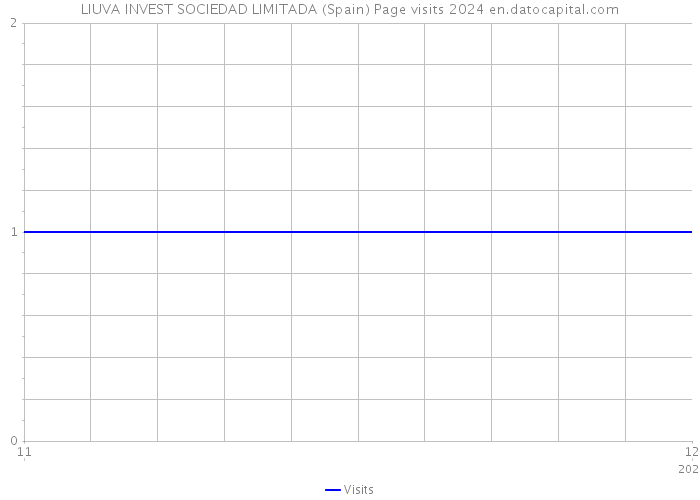 LIUVA INVEST SOCIEDAD LIMITADA (Spain) Page visits 2024 