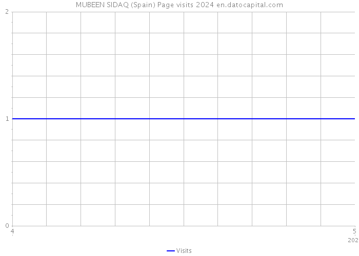 MUBEEN SIDAQ (Spain) Page visits 2024 