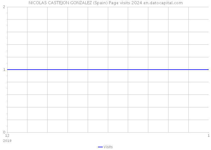 NICOLAS CASTEJON GONZALEZ (Spain) Page visits 2024 