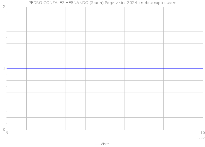 PEDRO GONZALEZ HERNANDO (Spain) Page visits 2024 
