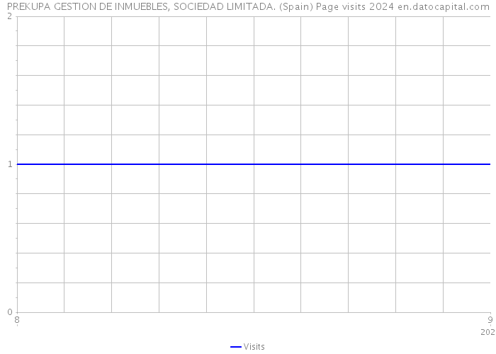 PREKUPA GESTION DE INMUEBLES, SOCIEDAD LIMITADA. (Spain) Page visits 2024 