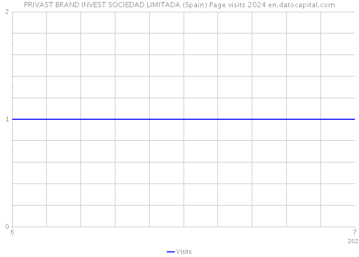 PRIVAST BRAND INVEST SOCIEDAD LIMITADA (Spain) Page visits 2024 