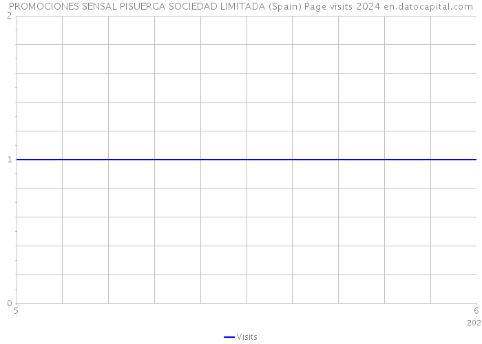 PROMOCIONES SENSAL PISUERGA SOCIEDAD LIMITADA (Spain) Page visits 2024 