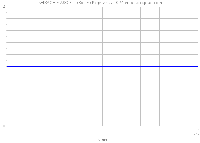 REIXACH MASO S.L. (Spain) Page visits 2024 
