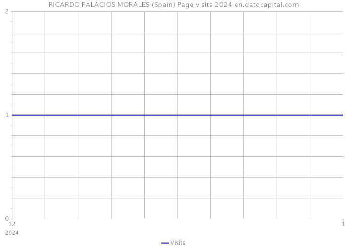 RICARDO PALACIOS MORALES (Spain) Page visits 2024 