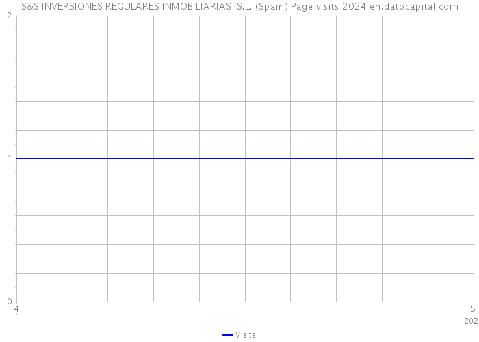 S&S INVERSIONES REGULARES INMOBILIARIAS S.L. (Spain) Page visits 2024 