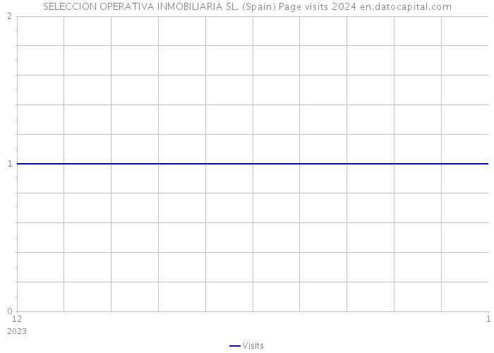 SELECCION OPERATIVA INMOBILIARIA SL. (Spain) Page visits 2024 