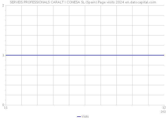 SERVEIS PROFESSIONALS CARALT I CONESA SL (Spain) Page visits 2024 