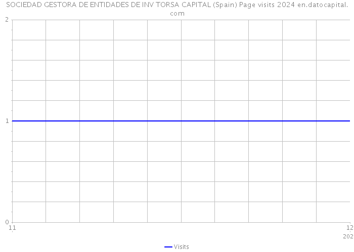 SOCIEDAD GESTORA DE ENTIDADES DE INV TORSA CAPITAL (Spain) Page visits 2024 