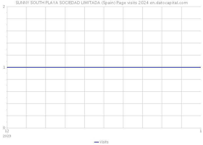 SUNNY SOUTH PLAYA SOCIEDAD LIMITADA (Spain) Page visits 2024 