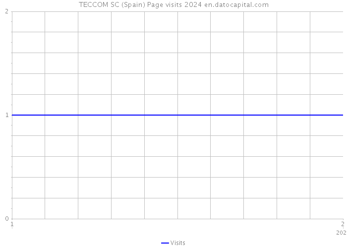 TECCOM SC (Spain) Page visits 2024 