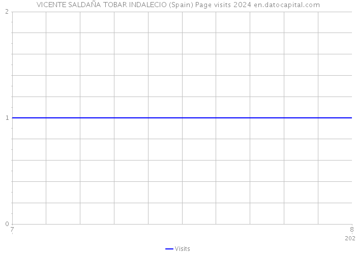 VICENTE SALDAÑA TOBAR INDALECIO (Spain) Page visits 2024 