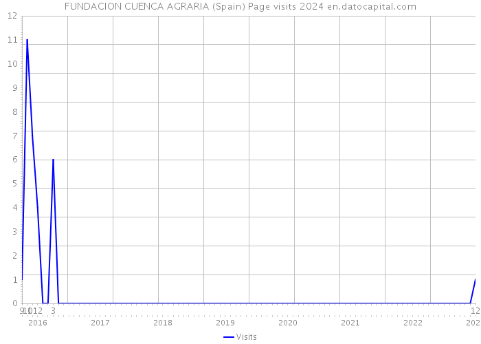 FUNDACION CUENCA AGRARIA (Spain) Page visits 2024 
