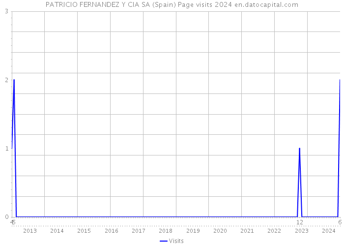 PATRICIO FERNANDEZ Y CIA SA (Spain) Page visits 2024 