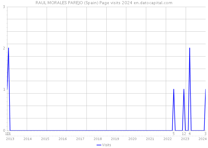 RAUL MORALES PAREJO (Spain) Page visits 2024 