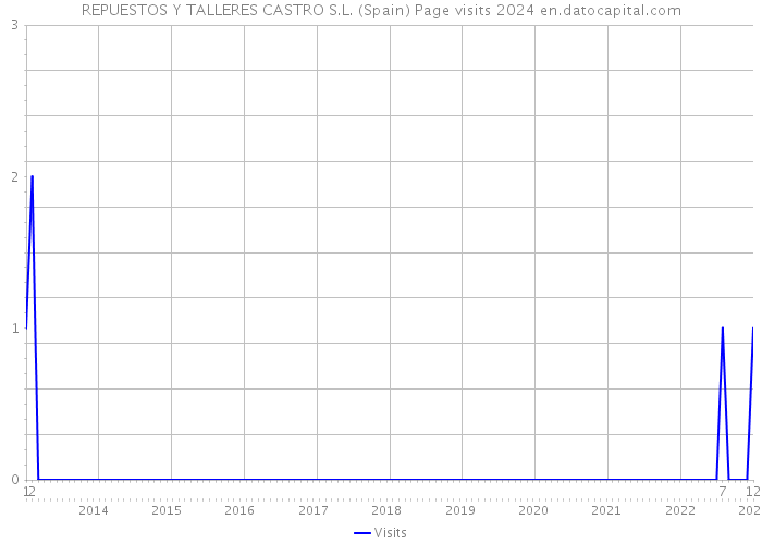 REPUESTOS Y TALLERES CASTRO S.L. (Spain) Page visits 2024 