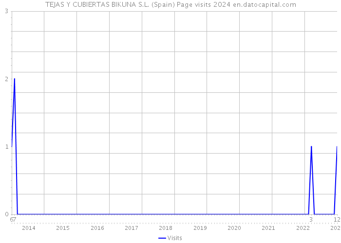 TEJAS Y CUBIERTAS BIKUNA S.L. (Spain) Page visits 2024 