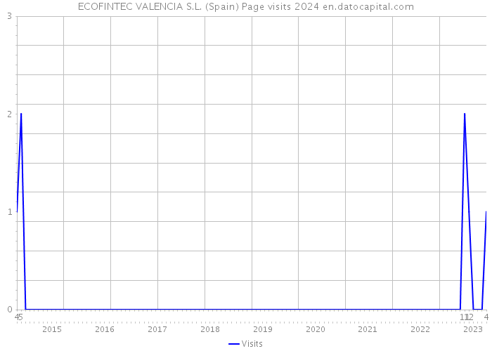 ECOFINTEC VALENCIA S.L. (Spain) Page visits 2024 
