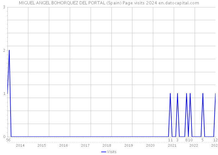 MIGUEL ANGEL BOHORQUEZ DEL PORTAL (Spain) Page visits 2024 