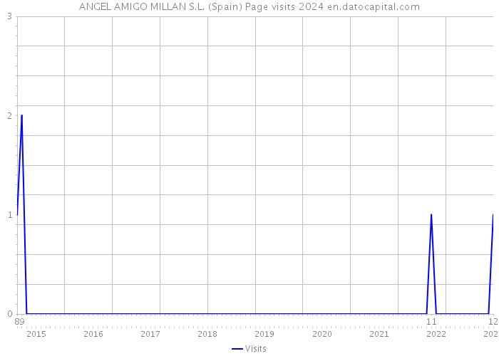 ANGEL AMIGO MILLAN S.L. (Spain) Page visits 2024 