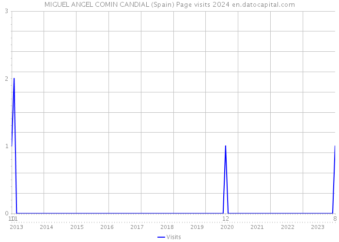 MIGUEL ANGEL COMIN CANDIAL (Spain) Page visits 2024 