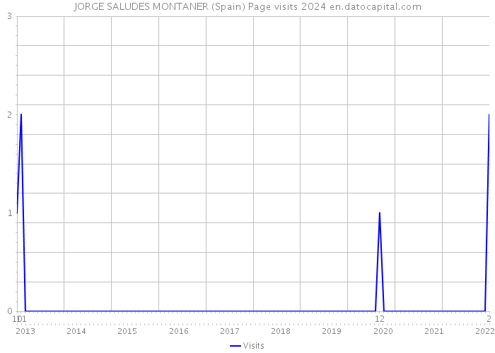 JORGE SALUDES MONTANER (Spain) Page visits 2024 