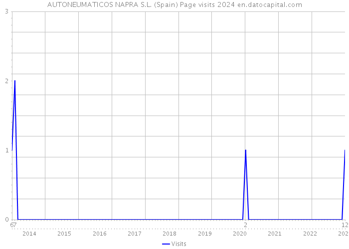 AUTONEUMATICOS NAPRA S.L. (Spain) Page visits 2024 