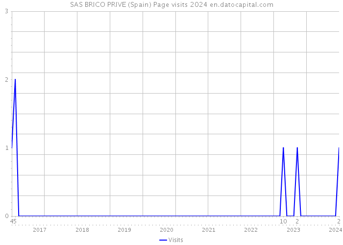 SAS BRICO PRIVE (Spain) Page visits 2024 