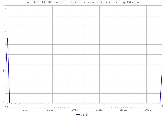 LAURA DE MEDIO CACERES (Spain) Page visits 2024 
