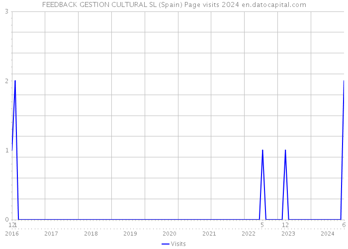 FEEDBACK GESTION CULTURAL SL (Spain) Page visits 2024 