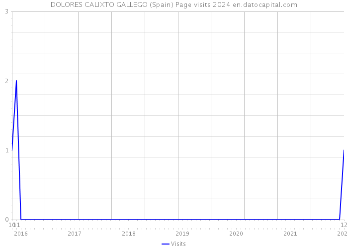 DOLORES CALIXTO GALLEGO (Spain) Page visits 2024 