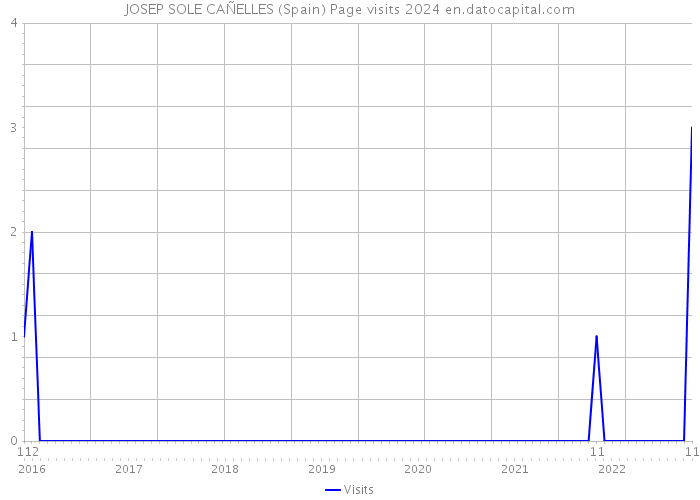 JOSEP SOLE CAÑELLES (Spain) Page visits 2024 